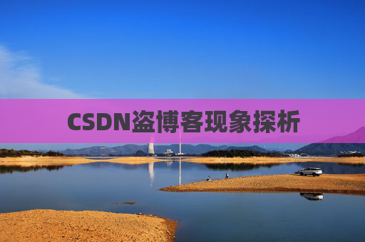 CSDN盗博客现象探析 CSDN盗博客现象探析